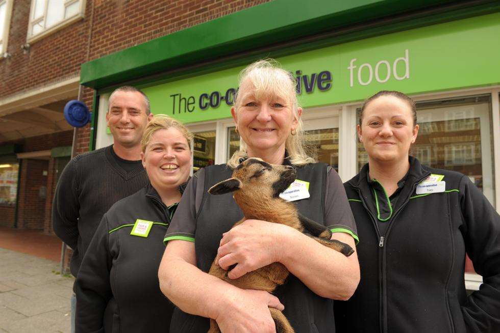 Bam Bam the Cameroon Sheep with Wayne May, Carly Murphy, Noreen Stevens and Tracy Longland