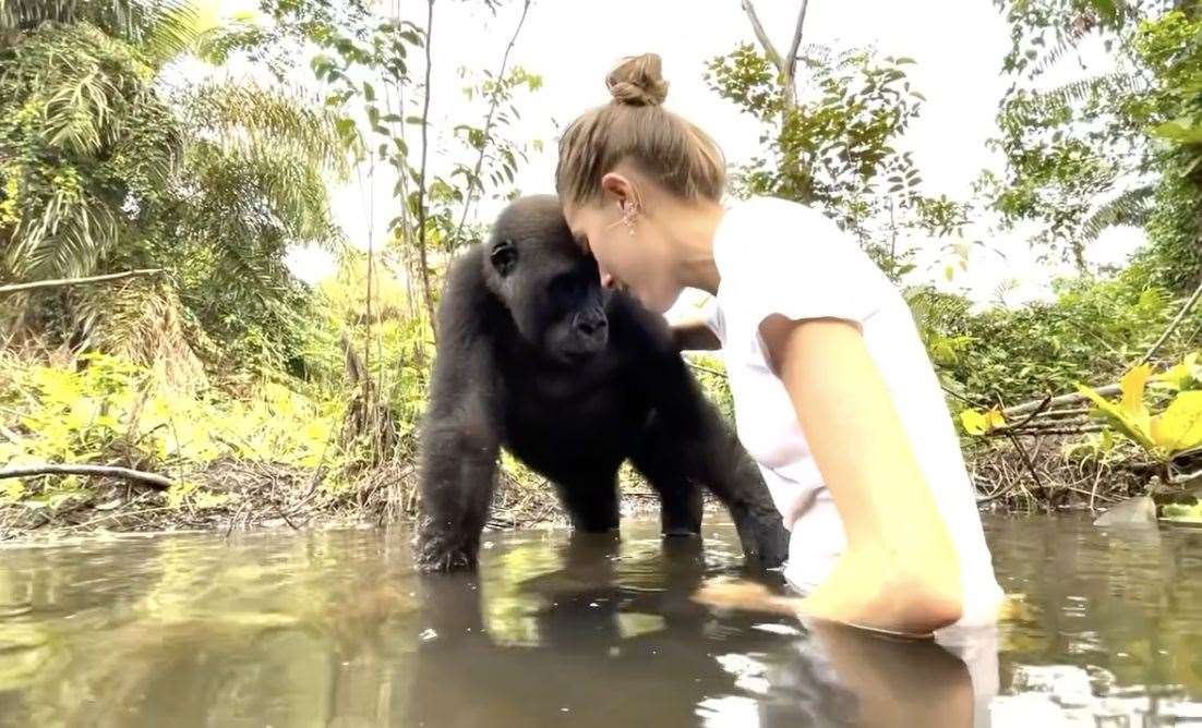 The videos and images were released for World Gorilla Day on Sunday. Pic: @damian_aspinall/Instagram