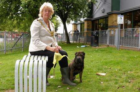 Mayor at Charlton Green Garden