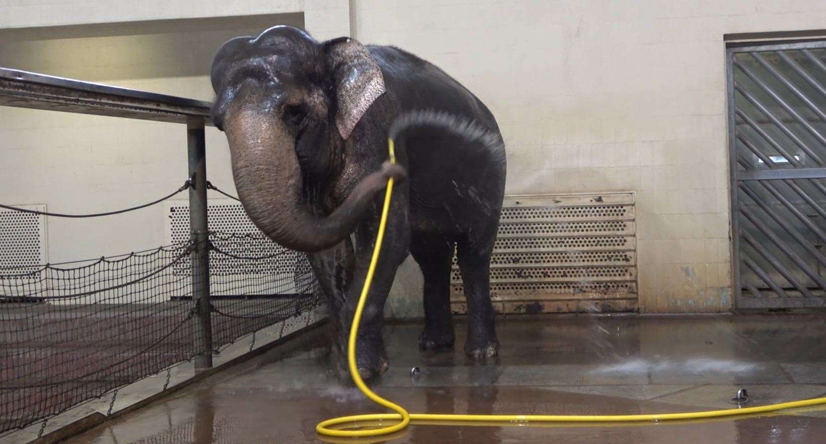 Mary moving the hose around her body (Urban et al/Current Biology/PA)