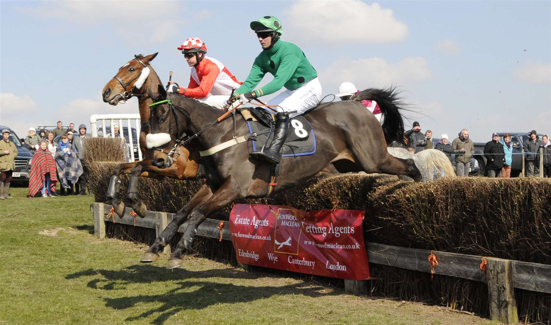 Aldington Point to Point races Picture: Paul Amos