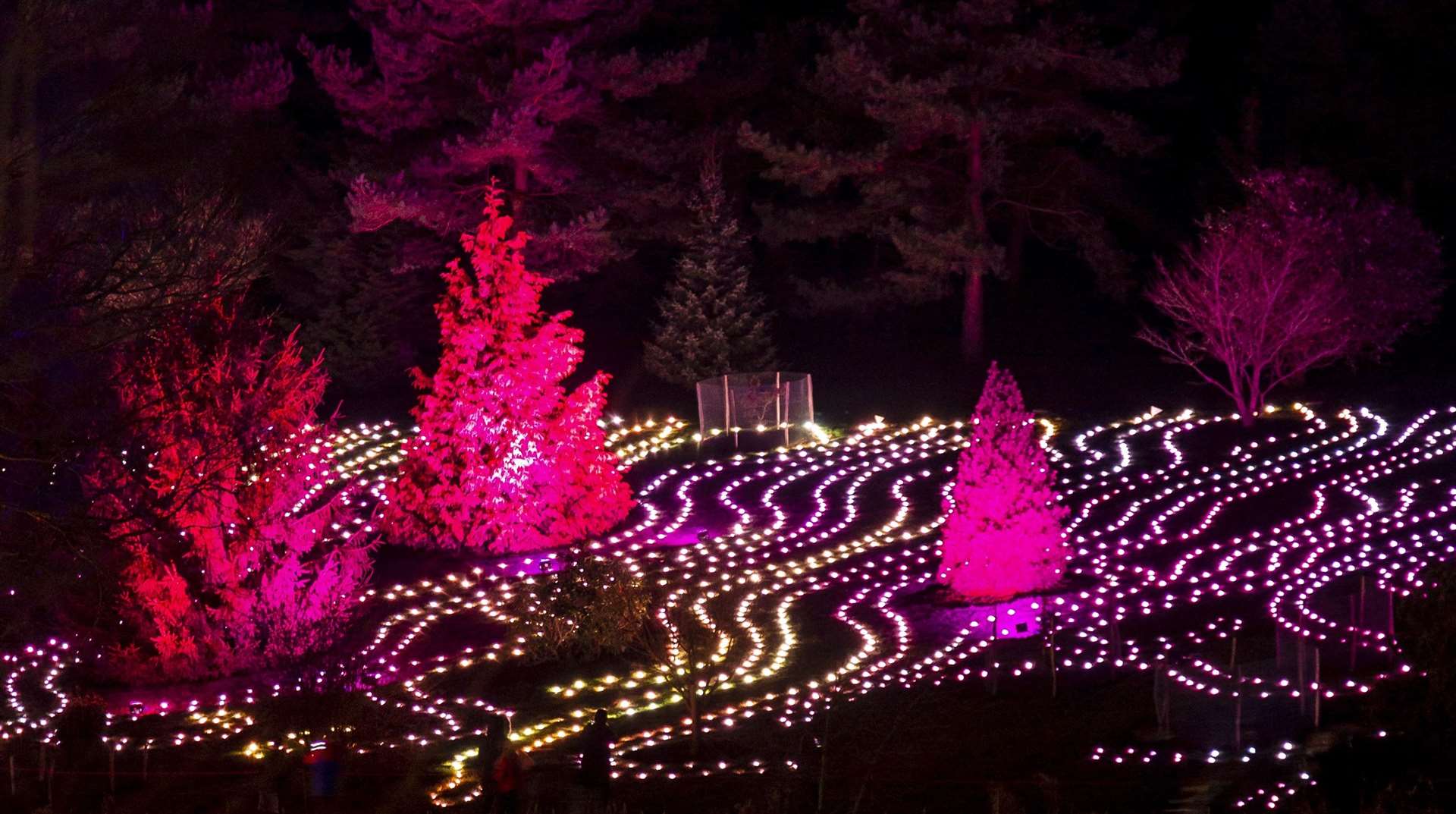 More than a million lights will illuminate the park. Picture: Rikard Osterlund