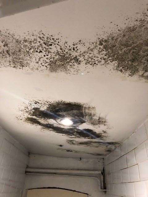 Quite possibly the mouldiest ceiling I’ve seen in a pub, but it was the water flowing out of the light fitting which really concerned me