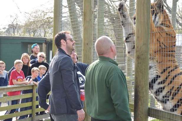 Dyer and Mr Binskin with the tigers