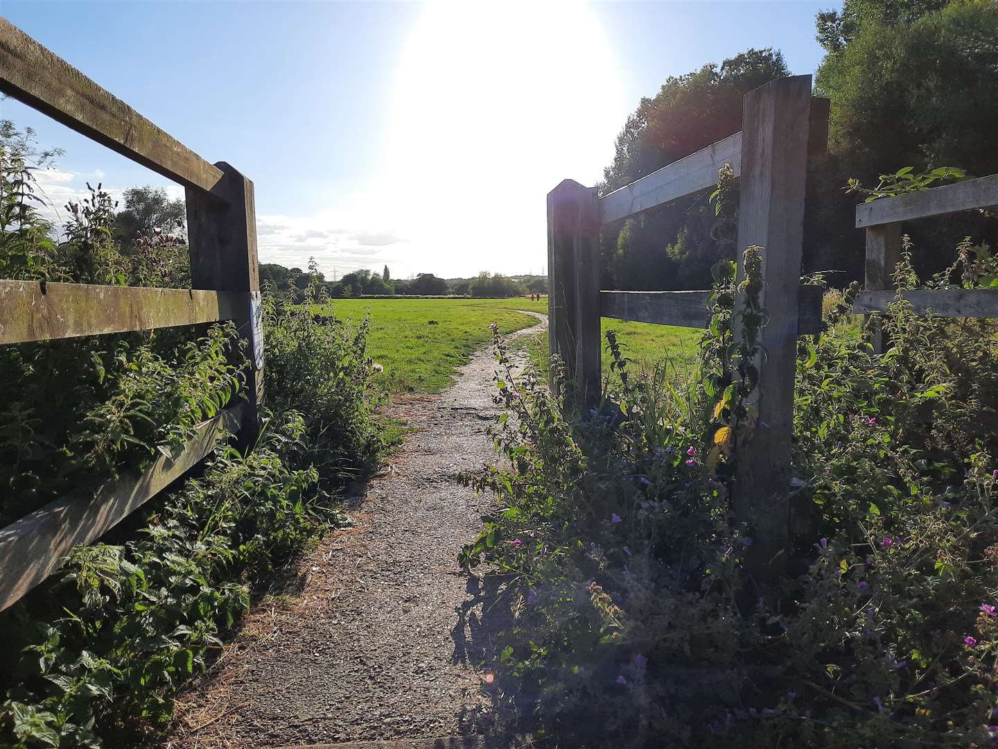 The grim discovery was made on land off King Street in Fordwich, Canterbury