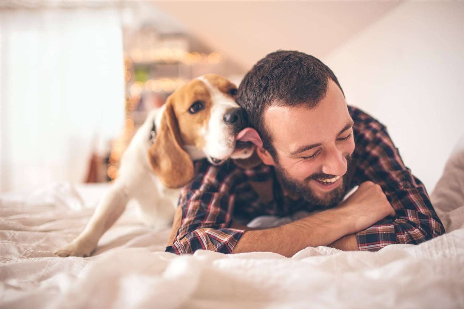 A dog that is comfortable with you shows affection by coming to you, licking your hands or face, or keeping soft eye contact