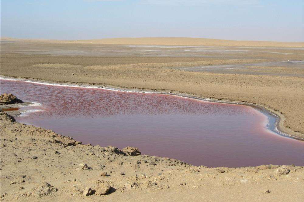 A Dunaliella algae lake