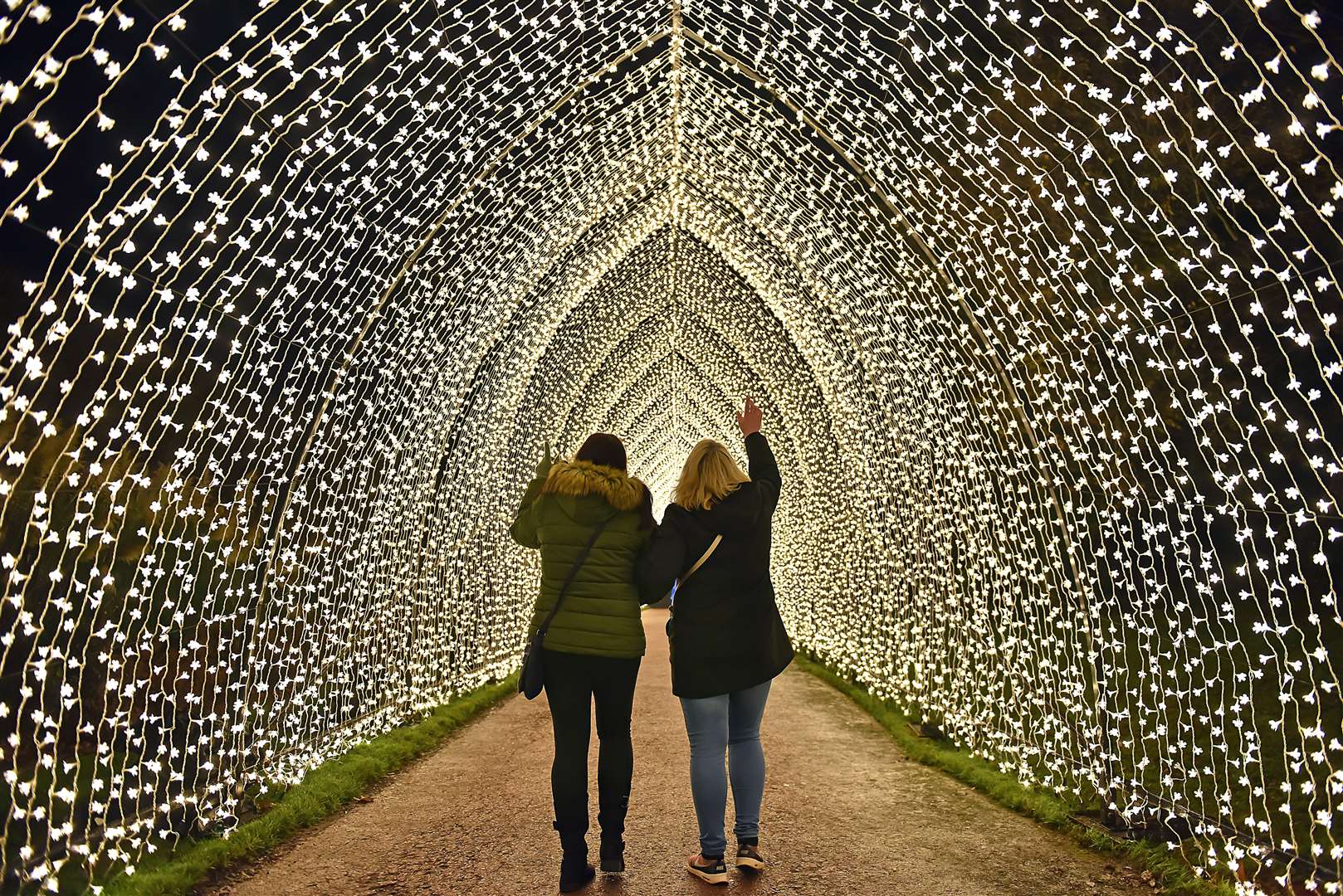 The Cathedral of Light at Bedgebury Pinetum