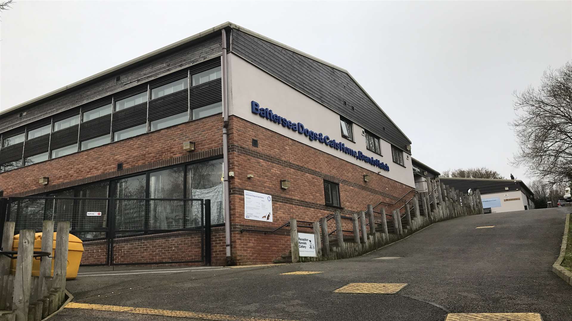 Battersea Dogs and Cats Home in Brands Hatch