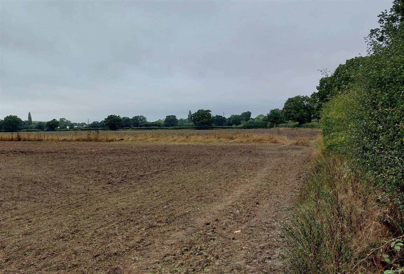 Pentland Homes is looking to build 625 homes off Steeds Lane in Kingsnorth