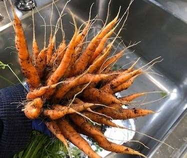 Produce picked by Sarah in the morning are on the patients plates by lunchtime. Picture: Sarah Pambour