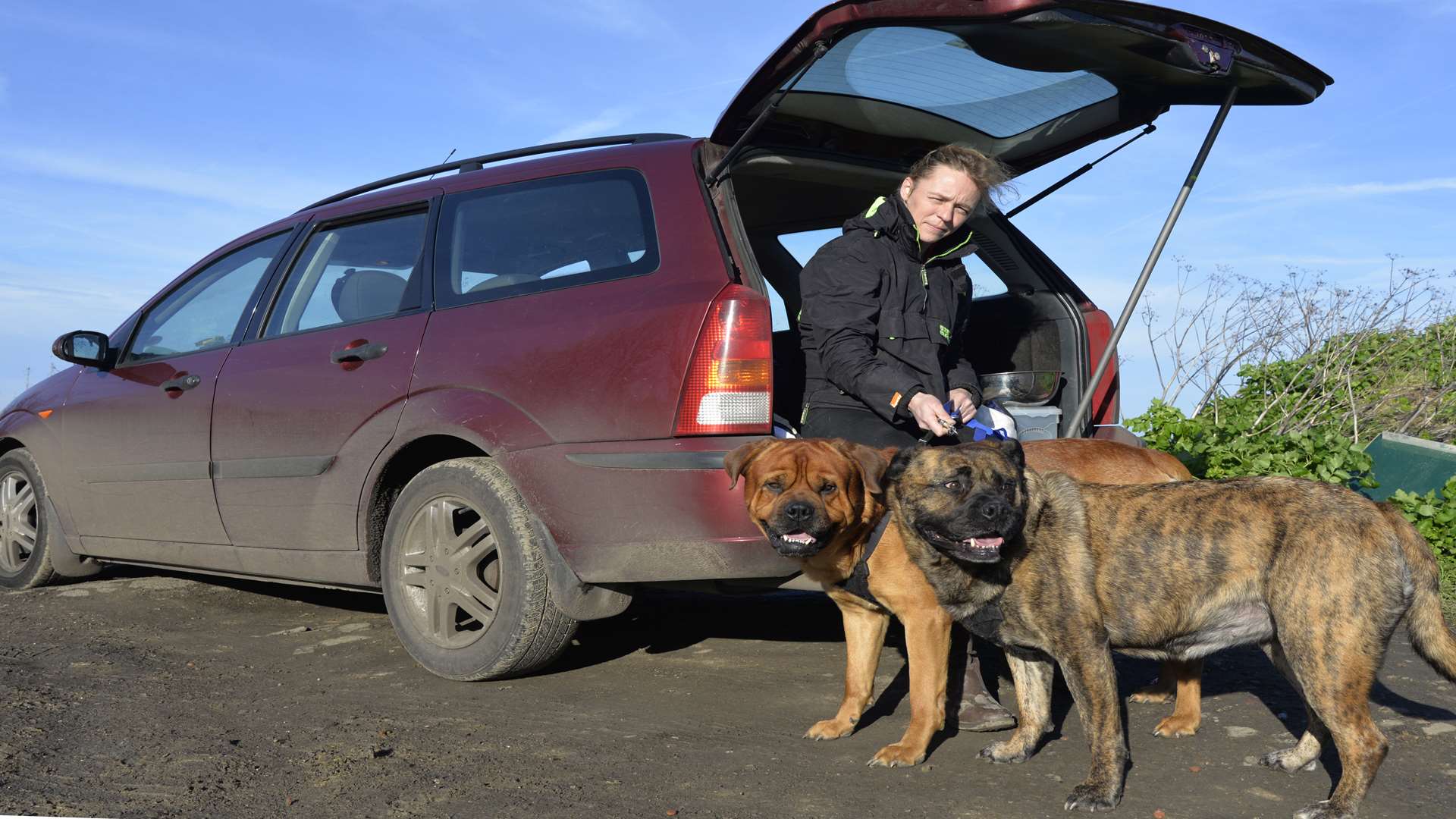 Helen refuses to give up her dogs