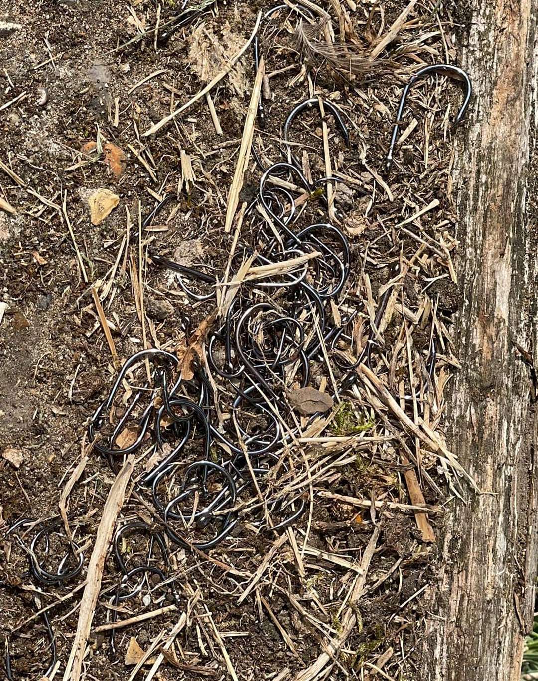 Around 100 fishing hooks were dumped near Campanile Lake in Dartford