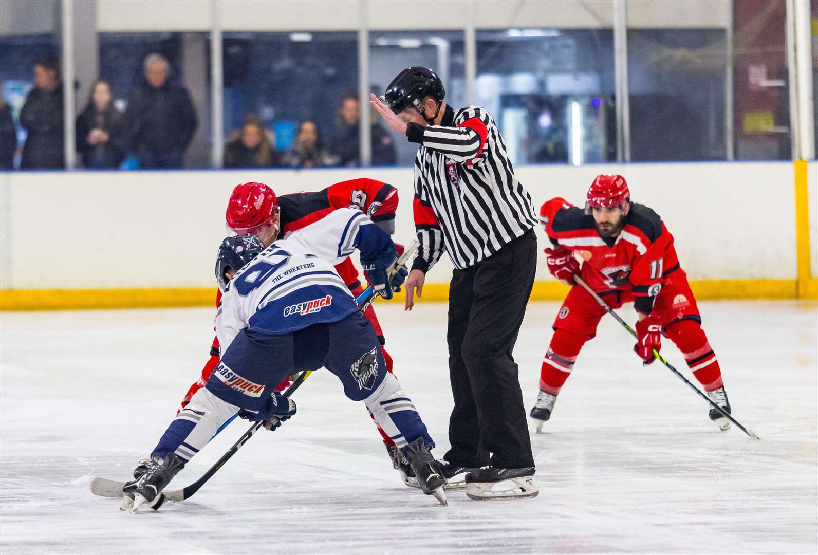 Invicta Dynamos versus league champions Streatham Picture: David Trevallion