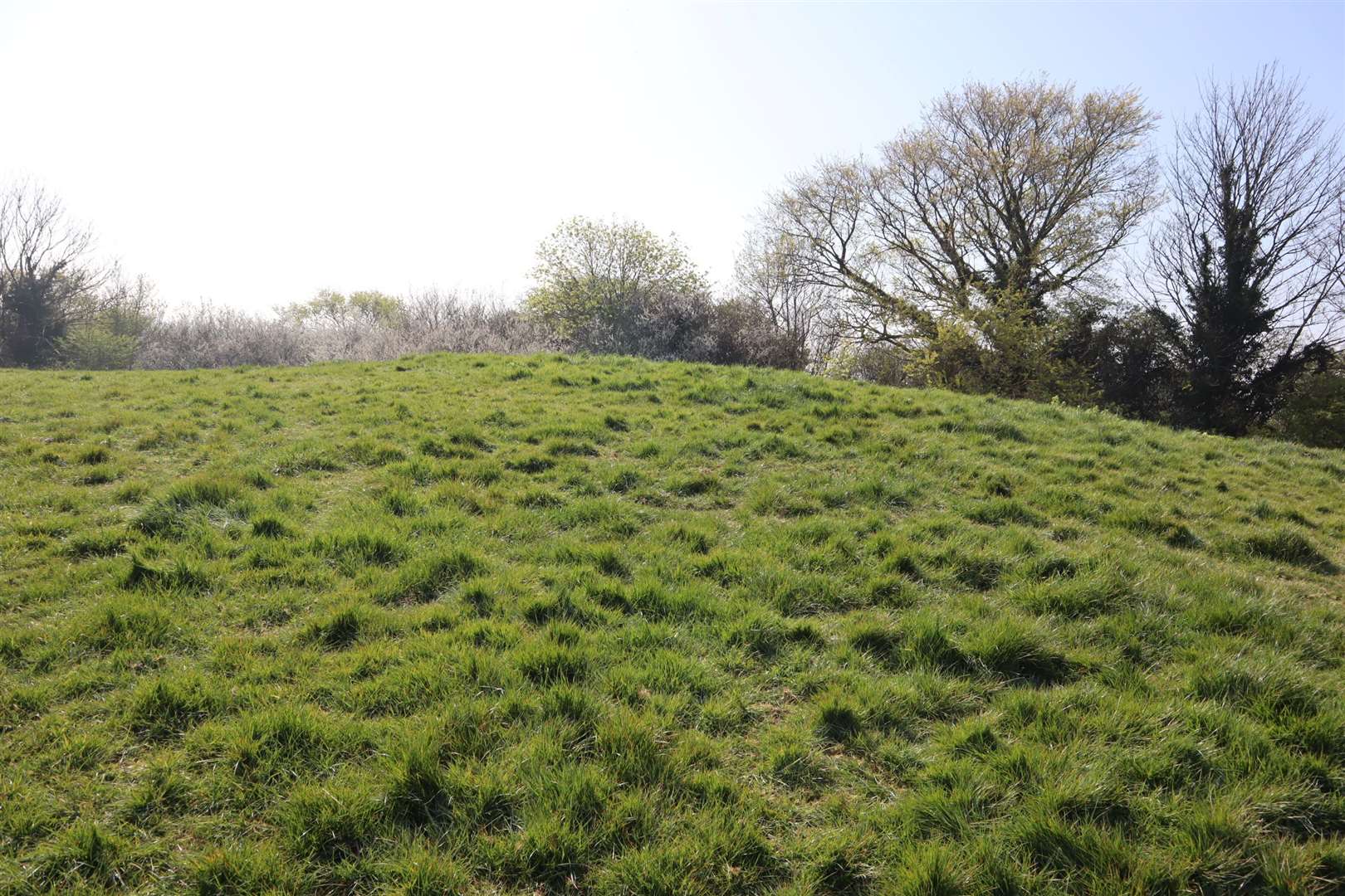 This year: no crosses at Bunny Bank on the Isle of Sheppey on Good Friday