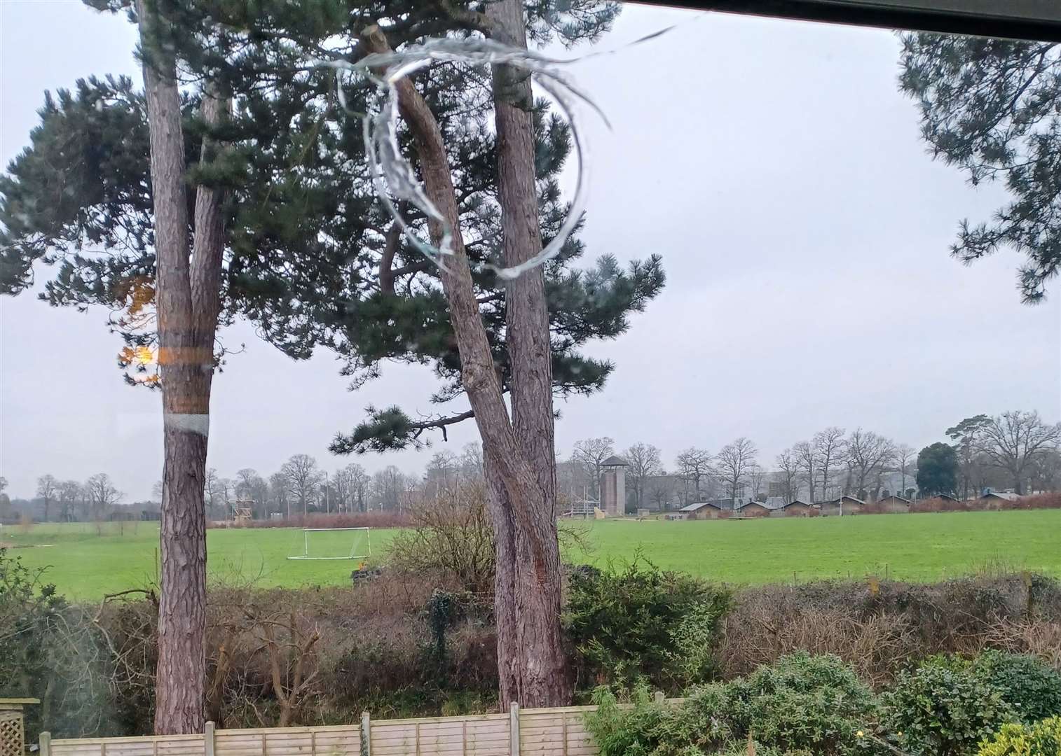 The damage to Mrs Appleton's son's window in Kennington