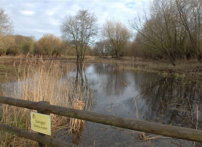 The Stodmarsh nature reserve near Canterbury which is suffering nutrient pollution