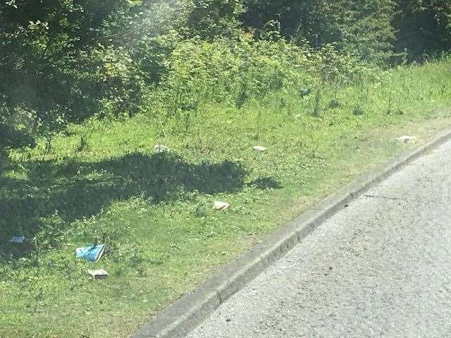 Litter is often thrown from cars. Picture: Tony Osborne