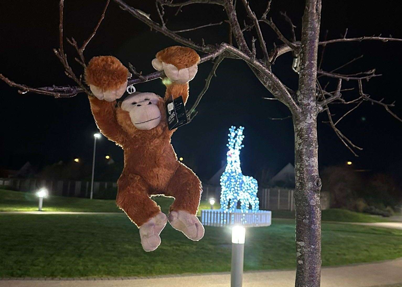 Belsom hanging around at Butlin's