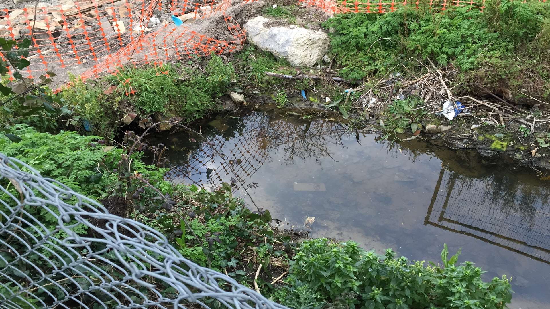 The ditch behind Jim and Shirley Hutchinson's back garden.