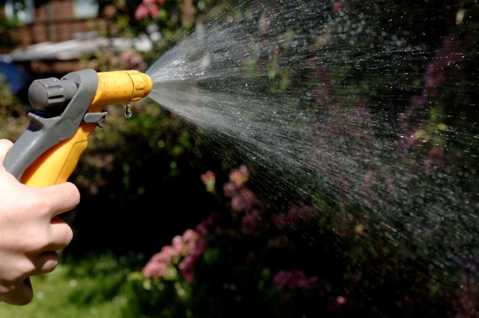 Ministers and industry regulator Ofwat are in talks to prepare for Thames Water to go under, according to Sky News. Picture: Getty Images/iStock/John Shepherd