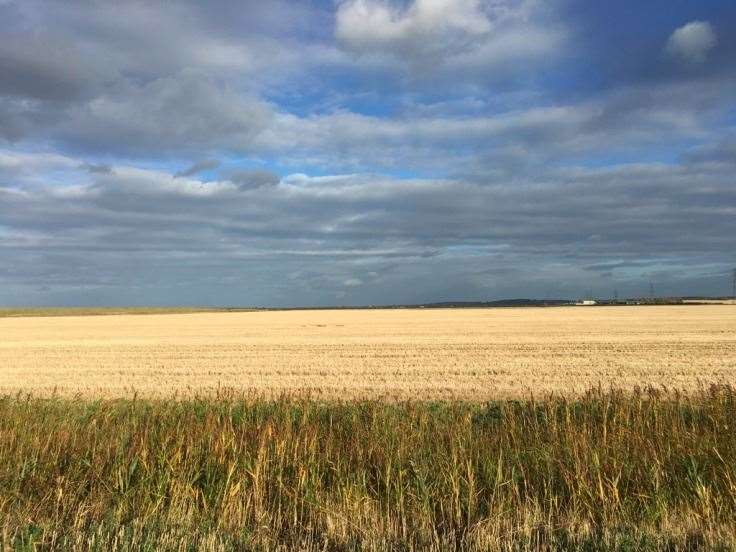 Graveney Marshes are a haven for wildlife