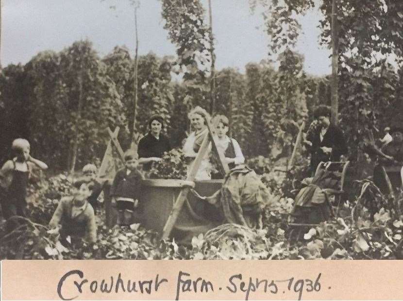 A historic pic of hop picking in Kent. Picture: Kent Archives Service