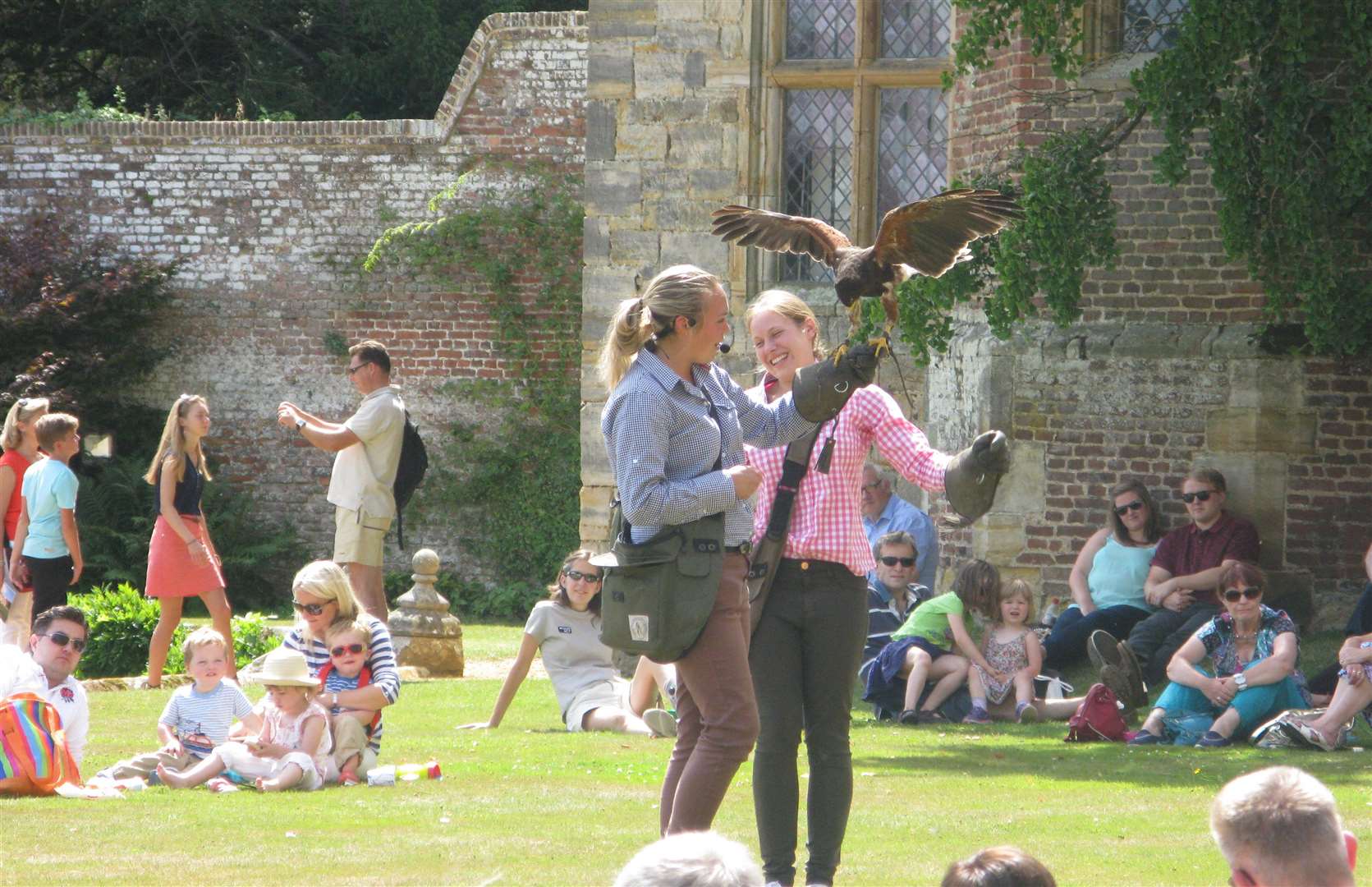 Penshurst Place falconry on Summer Sundays