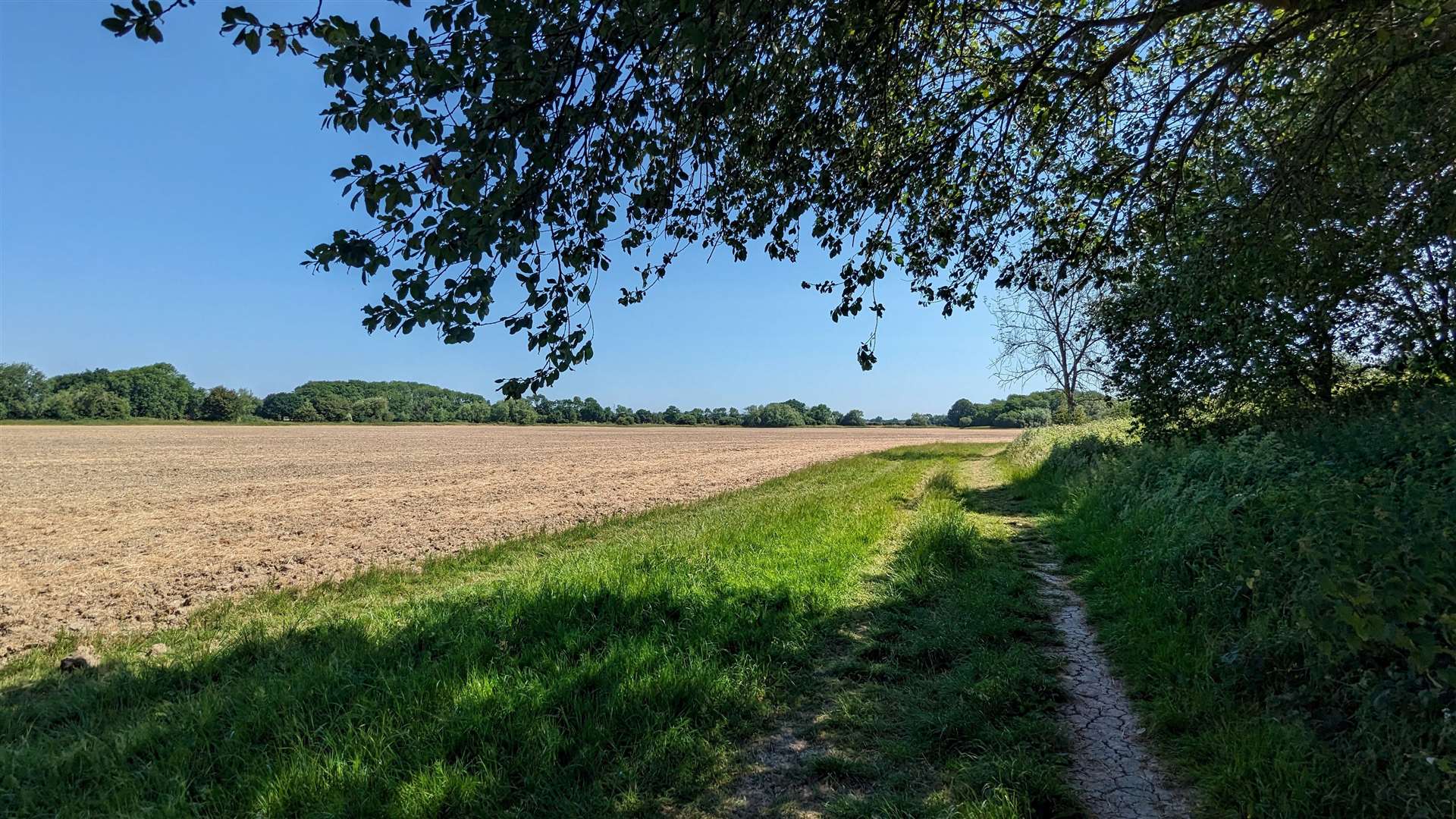 Footpaths on the walk skirted alongside farming land