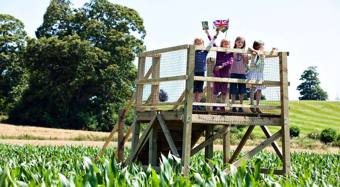 The Maize Maze has three different challenges this year