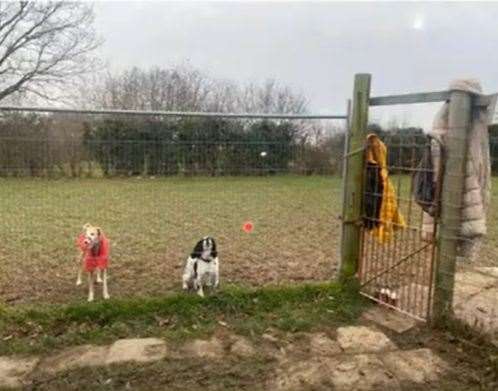 The dog-walking field in Marden