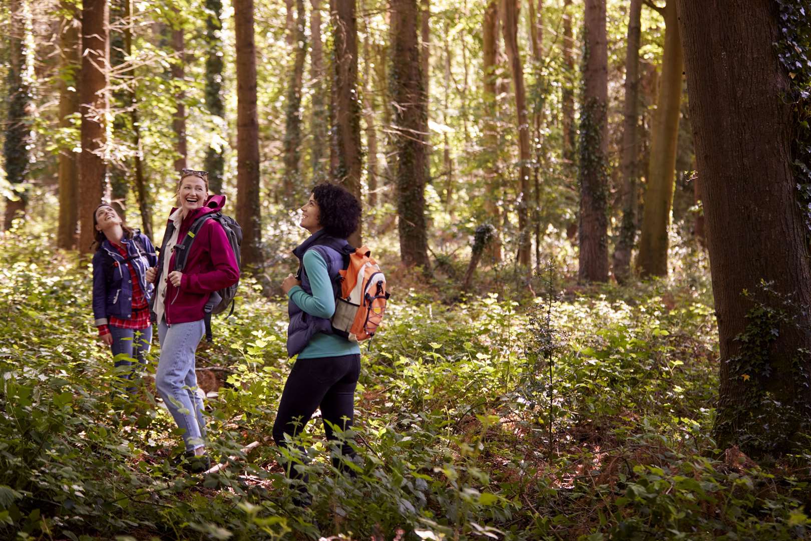 Explore the Kent countryside with a hike. Picture: iStock