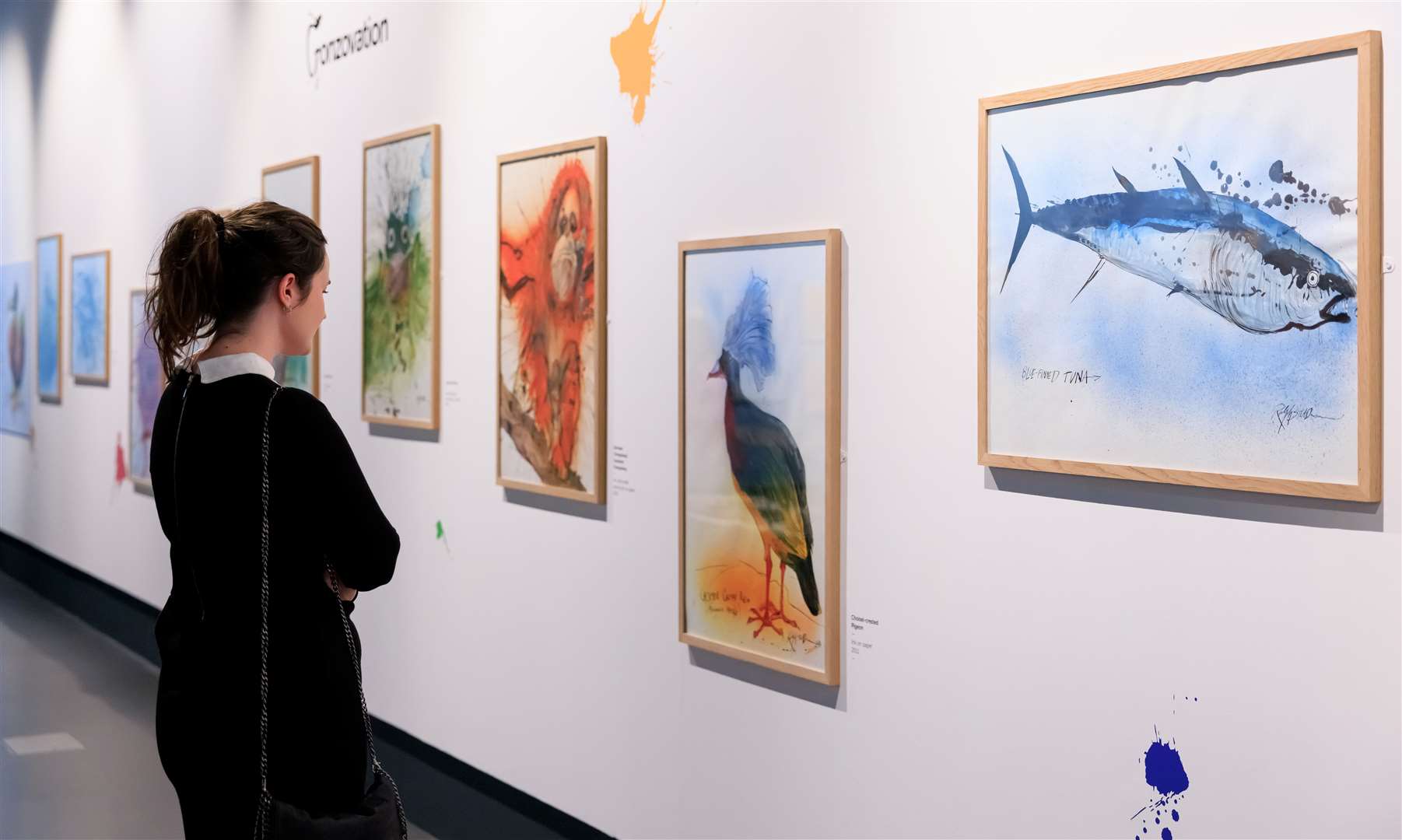 The display includes the artist’s Picasso-inspired paintings, children’s illustrations and his Gonzovation collection. Picture: Oliver Dixon Photography