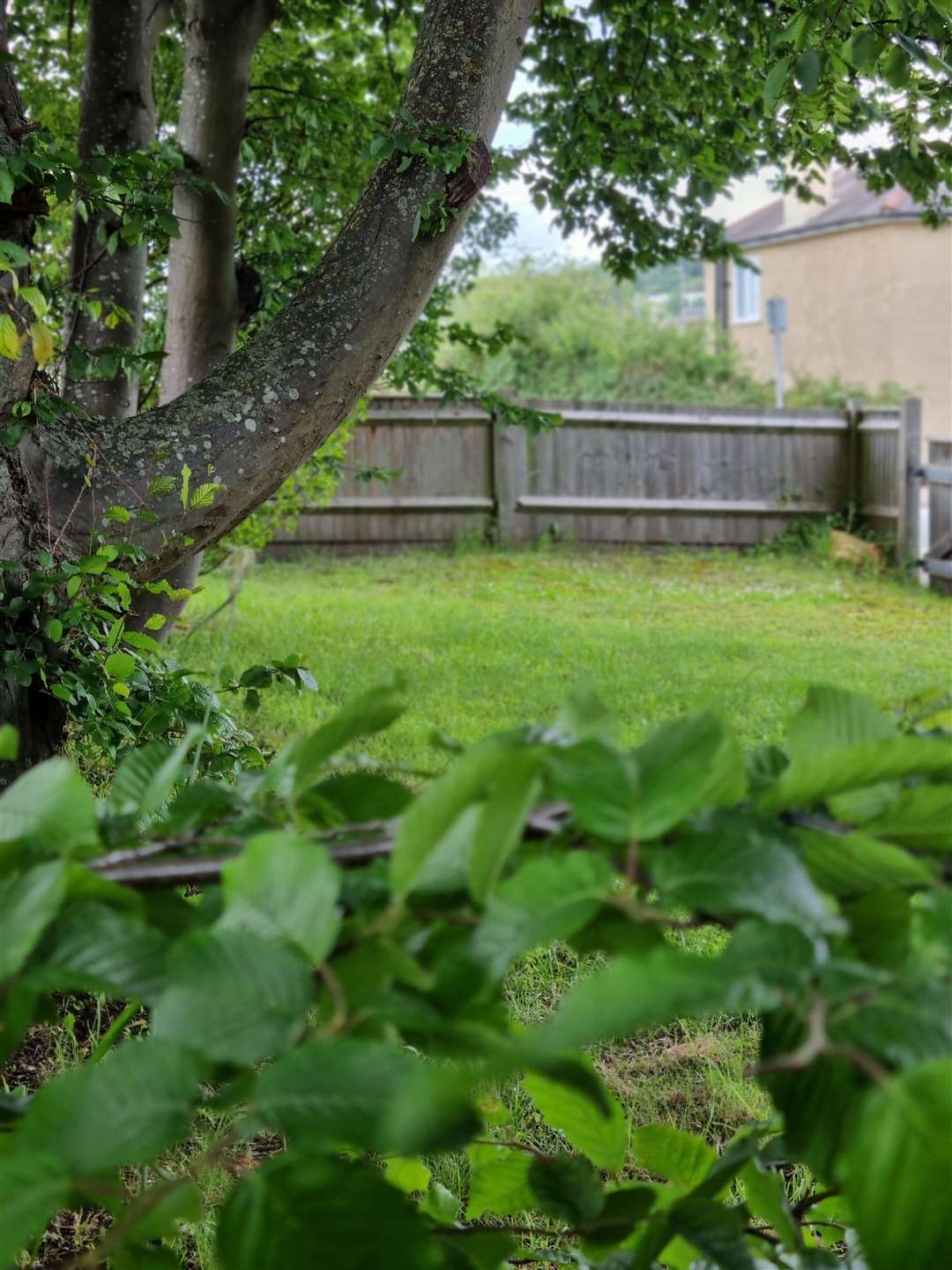 Garden to be used for allotments at new Wayfield nursery