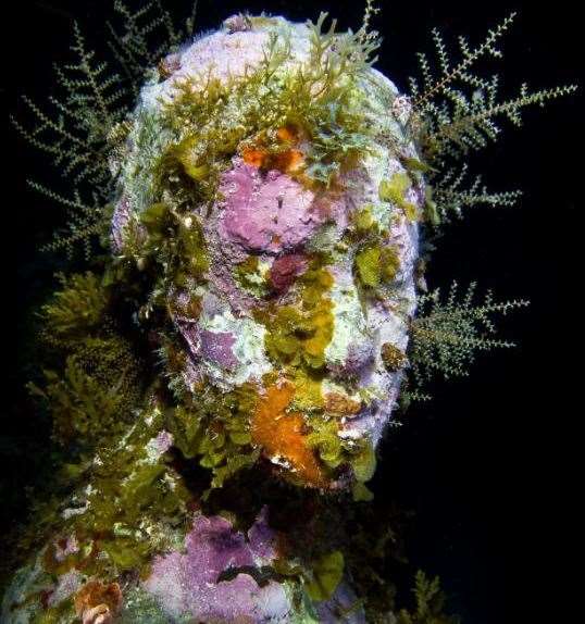 Picture: Jason deCaires Taylor (11292208)