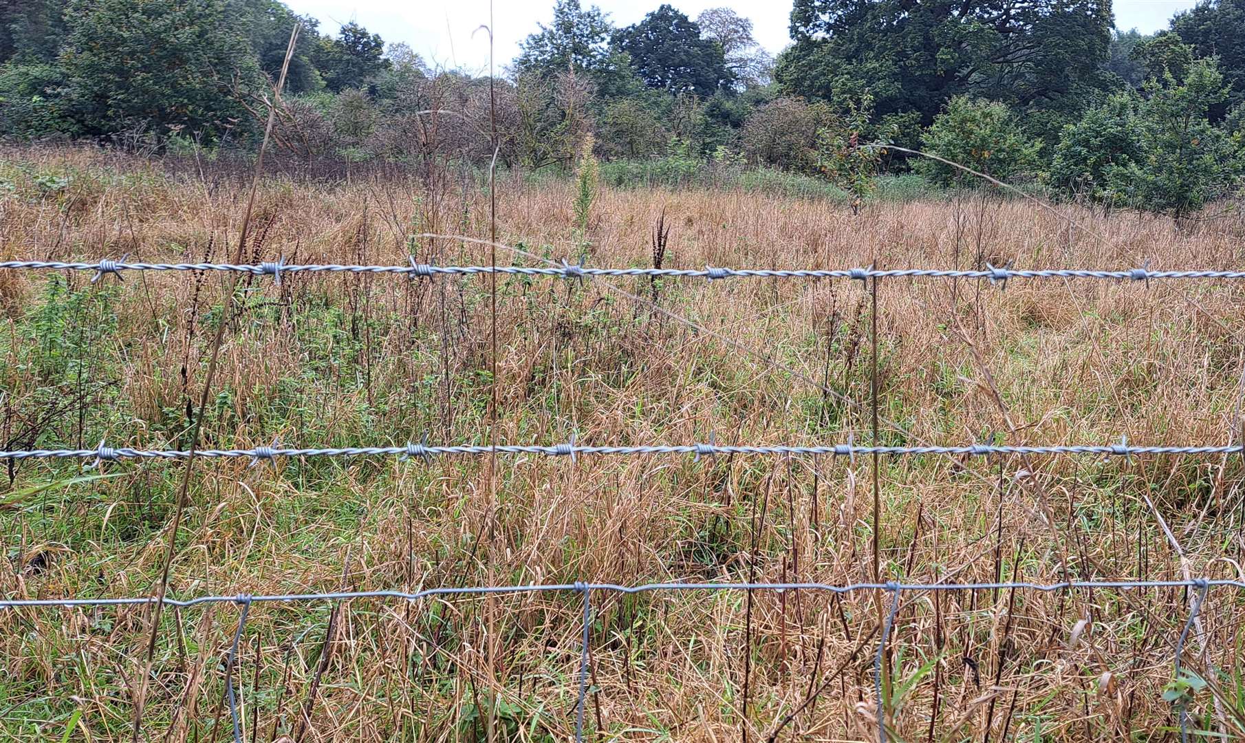 The Glebe has recently been fenced off with barbed wire