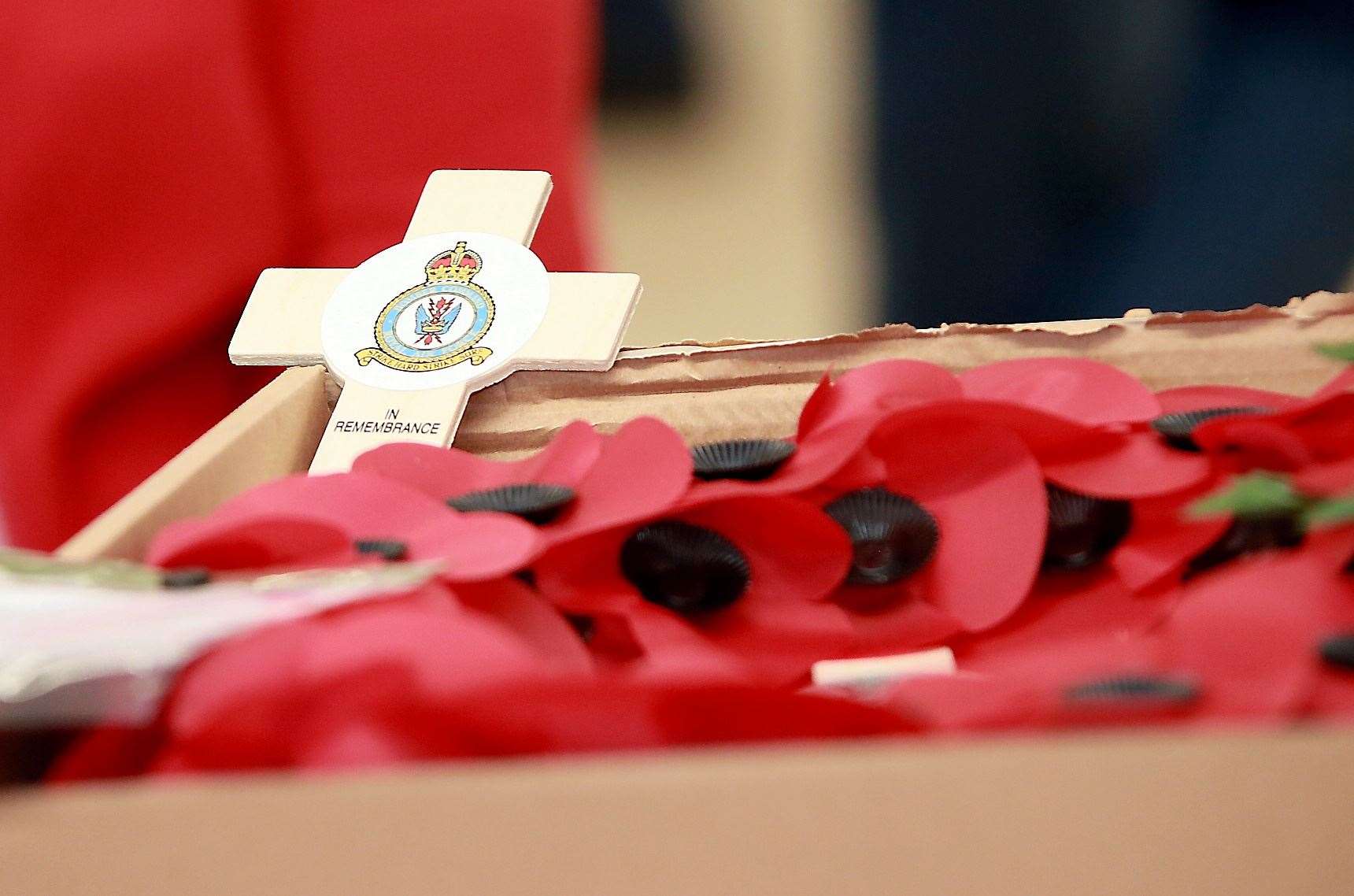 ‘Remembrance Day has come and gone but it is the only time I didn't wear a poppy’Library picture