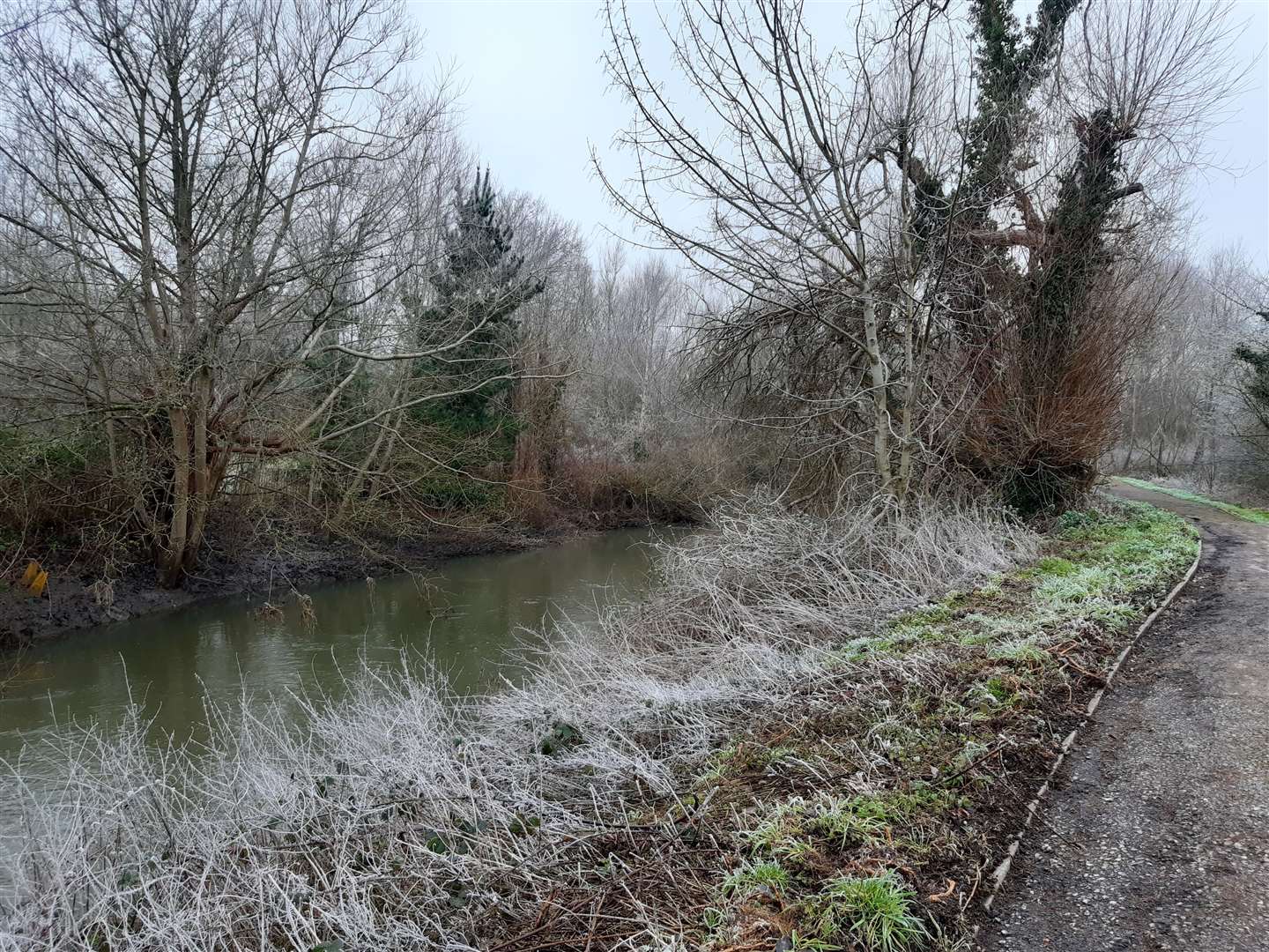 A new bridge is planned over the River Stour