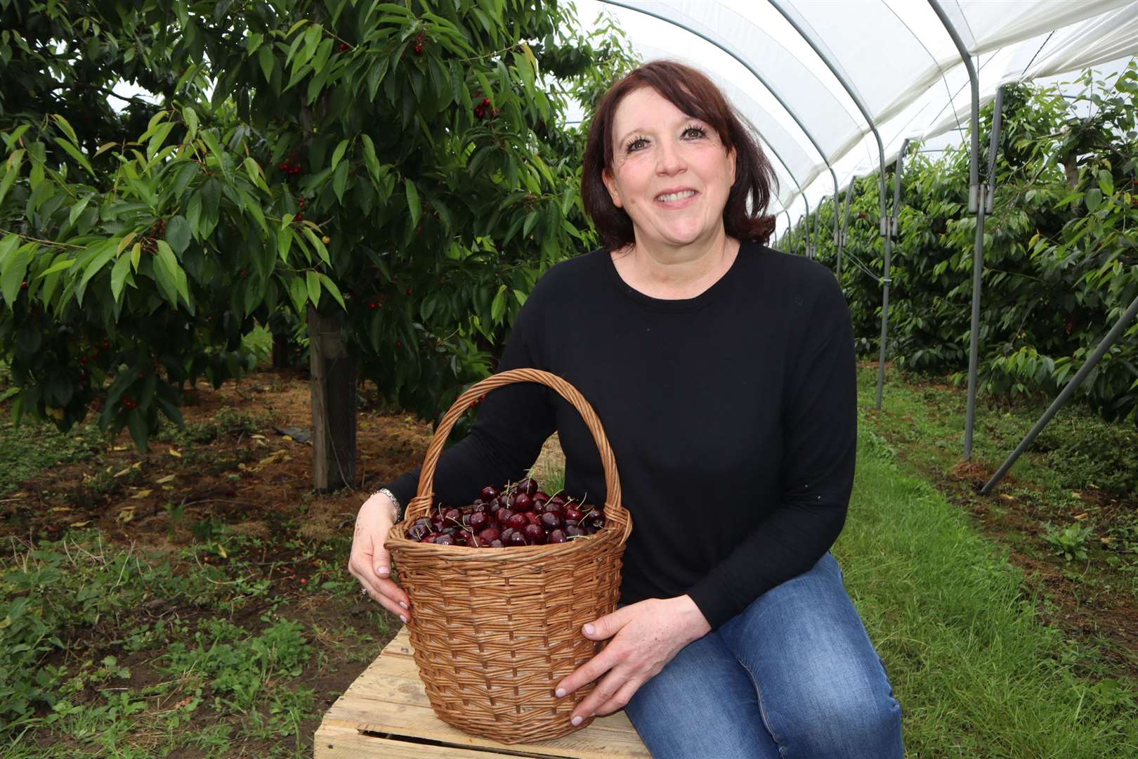 Sittingbourne cherry farmer Sarah Neaves at Little Sharsted Farm. Picture: John Nurden