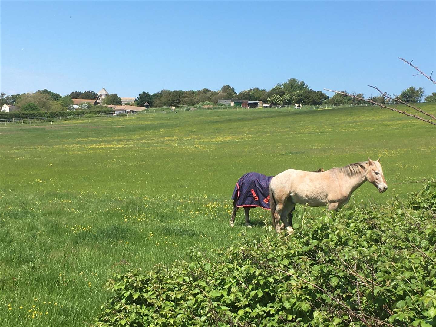 The unpopular plans for fields in Nelson Avenue, Minster, were submitted in 2021. Picture: John Nurden