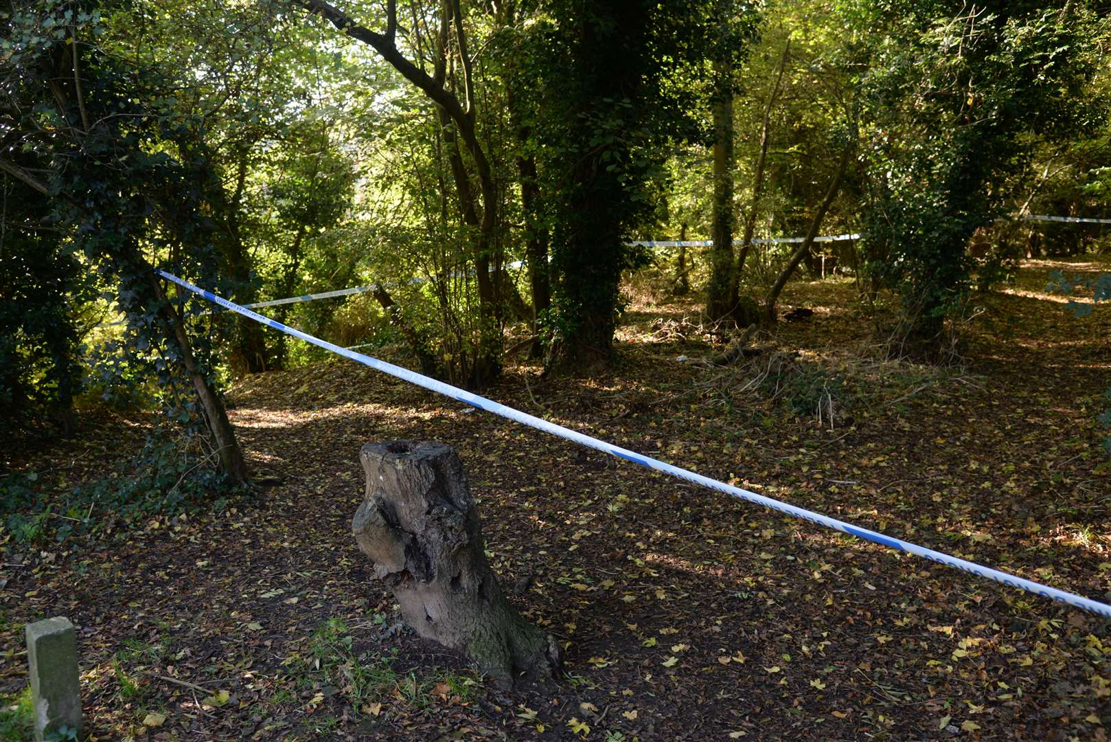 Police have cordoned off area of woodland behind Bazes Shaw