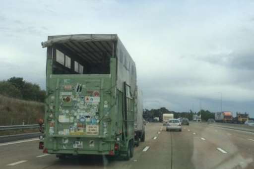 Another witness took this picture of the lorry carrying the giraffe. Picture: @GuyNight