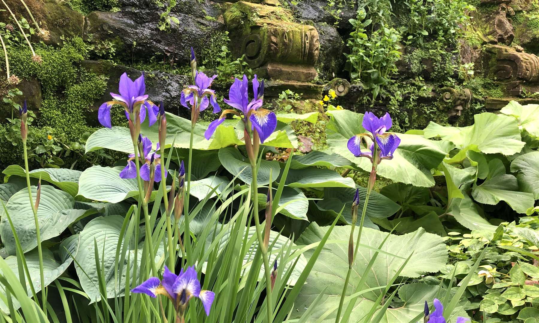 Copyright: Hever Castle & Gardens