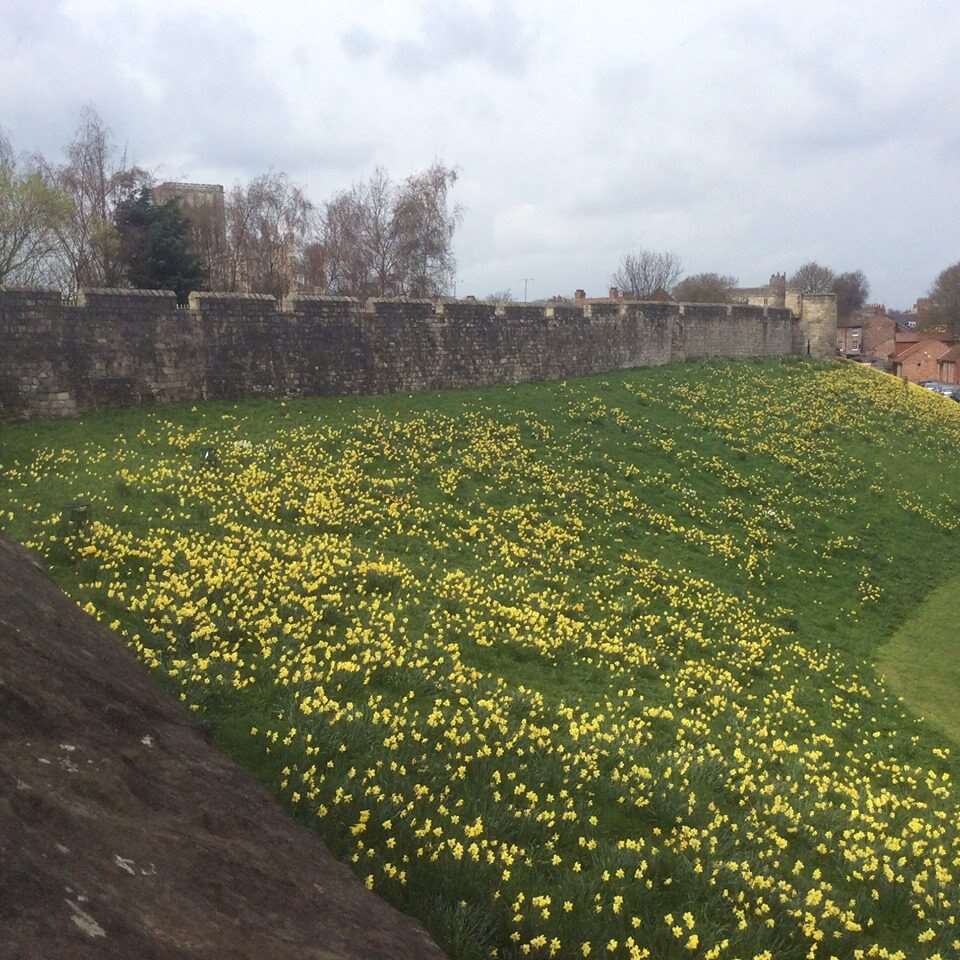 A section of York’s city walls with the Minster in the background (PA)