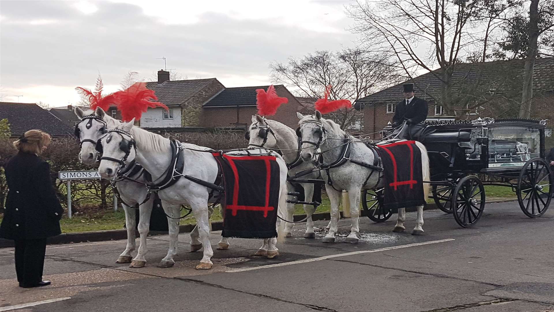 The four white horses with red plumes