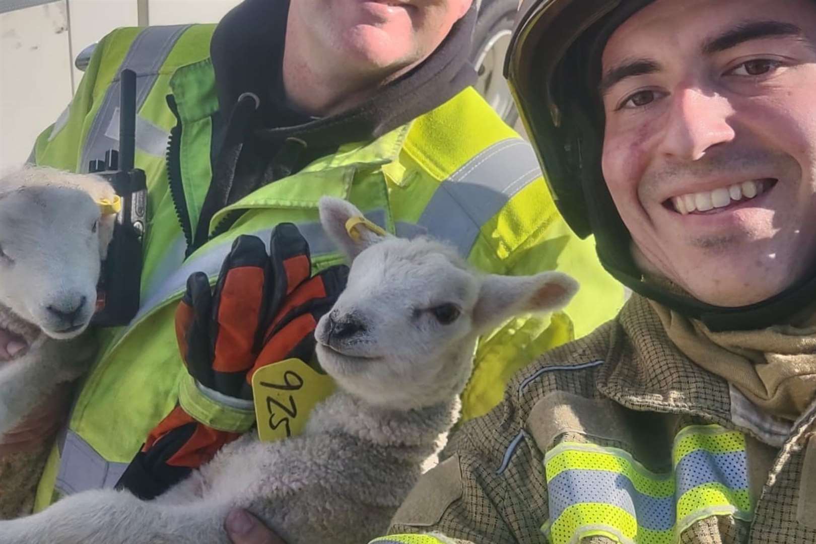 The adorable animals were helped back into their trailer after the fire was put out. Photo: KFRS