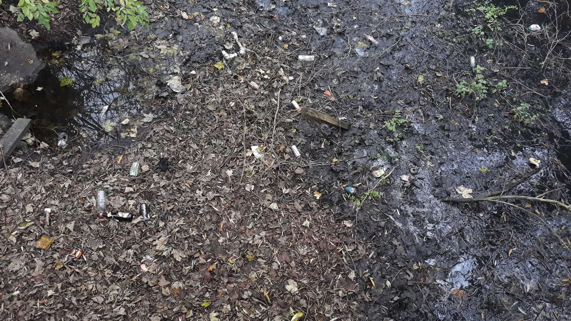 The dirty waterway in Churchlands, New Romney (7754159)