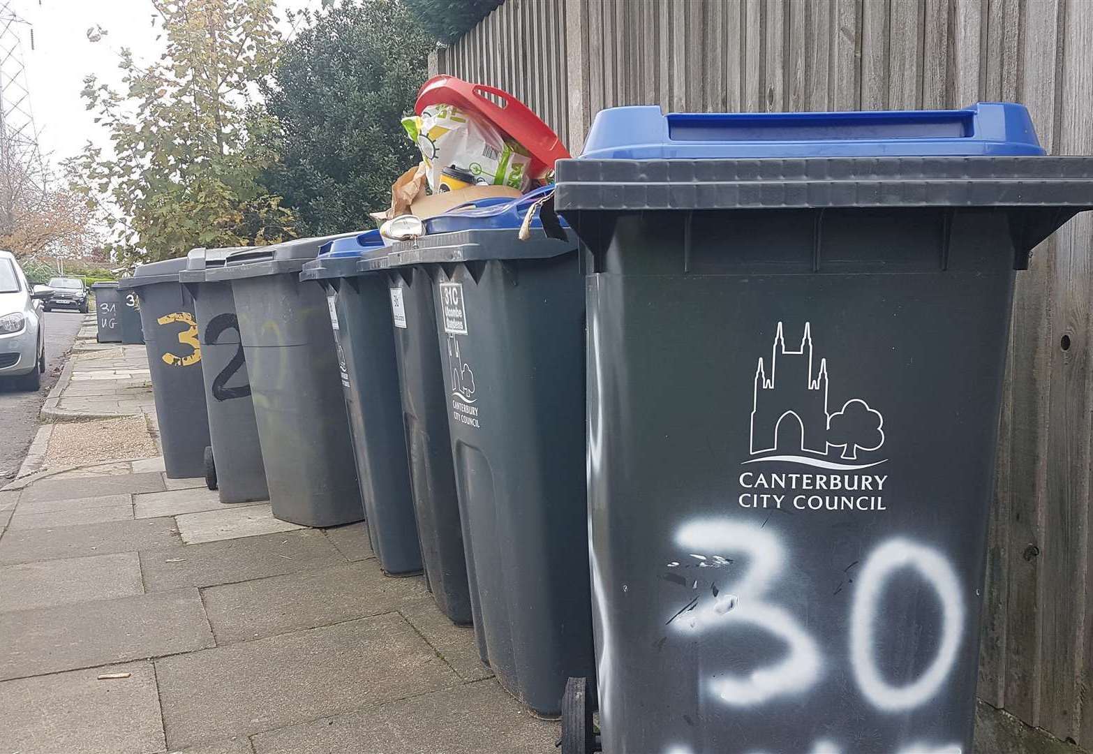 Bins in Canterbury