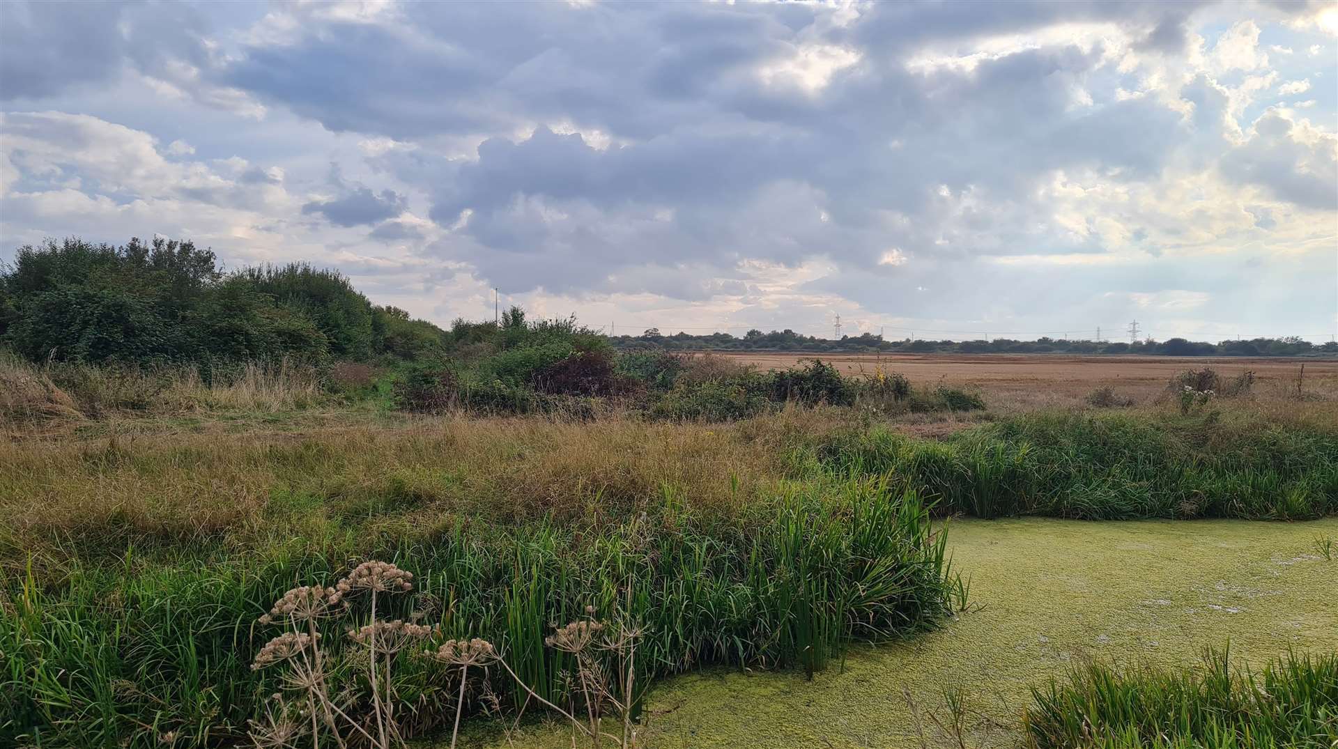 A massive electricity converter station covering the size of at least seven football pitches could be built on Minster marshes