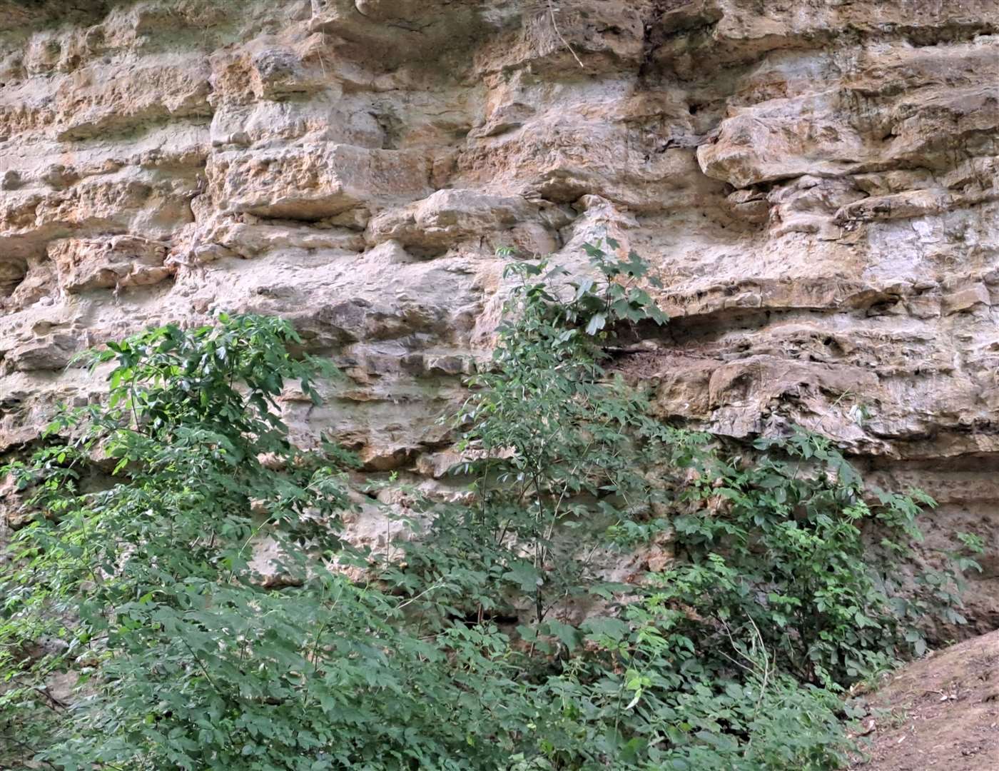 The area was once worked for ragstone. This is Fox's Quarry